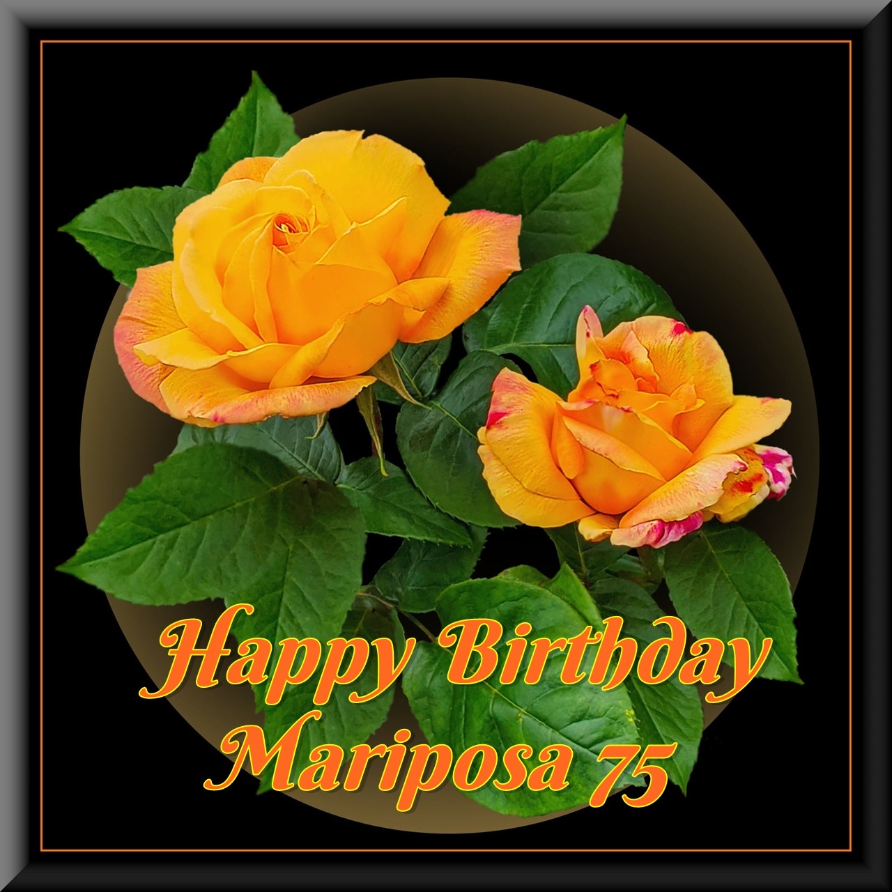 Two orange-yellow roses with green leaves on black background with Happy Birthday Mariposa 75 text