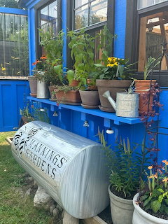Manning's Gardens Blue Greenhouse