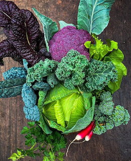 Assorted fresh cabbage, kale, lettuce, broccoli, and radishes on a wooden surface