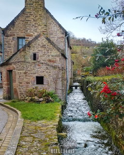 Rustic stone cottage beside a narrow canal with red flowers and a mossy path