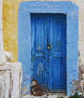 Cat at Blue Door Kefalos Greece