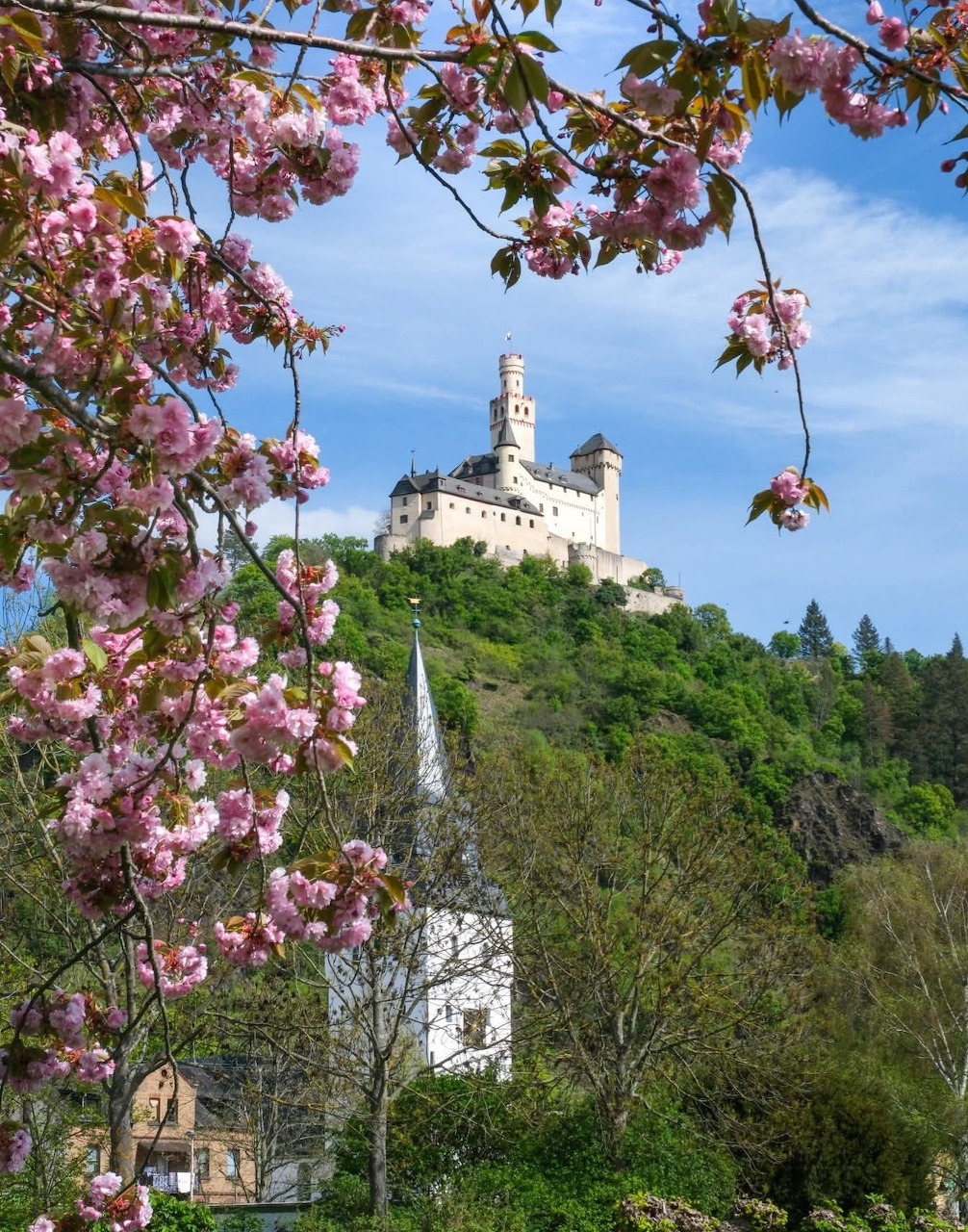 Marksburg Castle on a hilltop in Braubach, Germany, framed by pink cherry blossoms and a church steeple