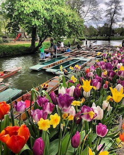 Cherwell Punts and Tulips