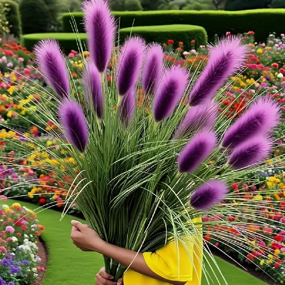 Hand holding purple ornamental grass bouquet with rainbow fan in garden
