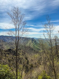 Spring Mountain View