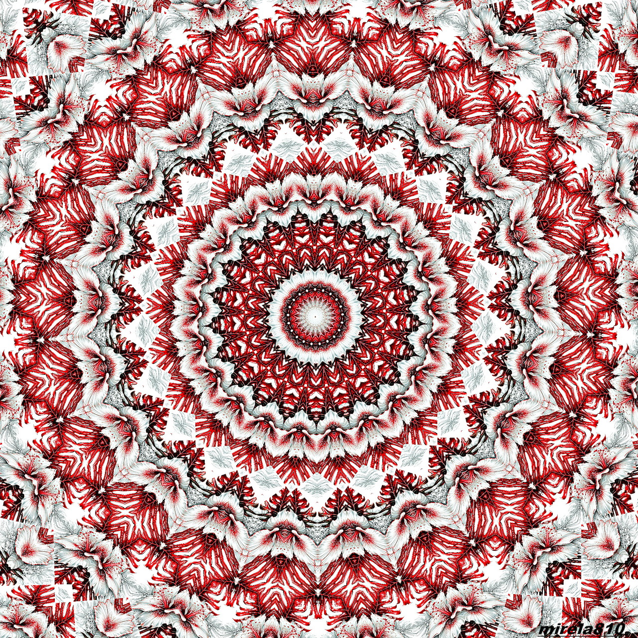 Detailed red and white mandala with intricate symmetrical patterns radiating from center