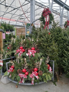 Christmas greenery display with wreaths, red bows, ornaments, and evergreen trees in a greenhouse