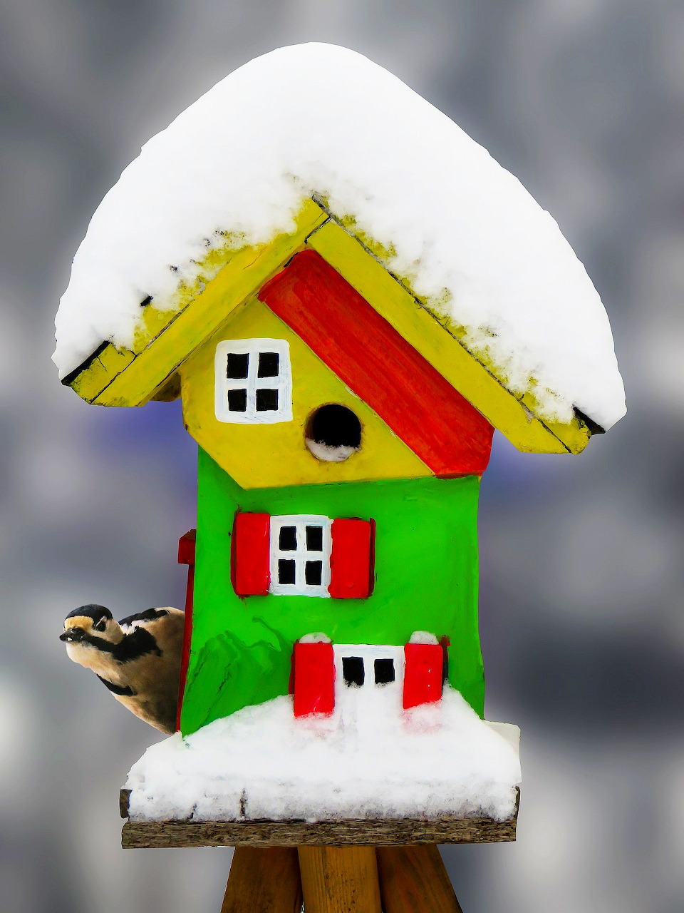 Small bird perched beside a green and red birdhouse topped with snow.