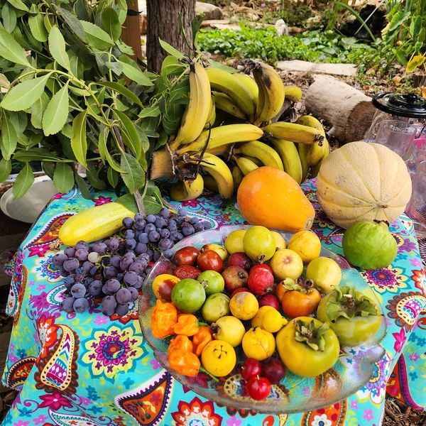 Assorted tropical fruits and peppers on a colorful cloth in an outdoor garden setting