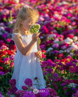 Young girl in white dress smelling flowers in colorful flower field