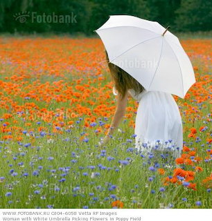 Woman in white dress with white umbrella in a field of red poppies and blue flowers
