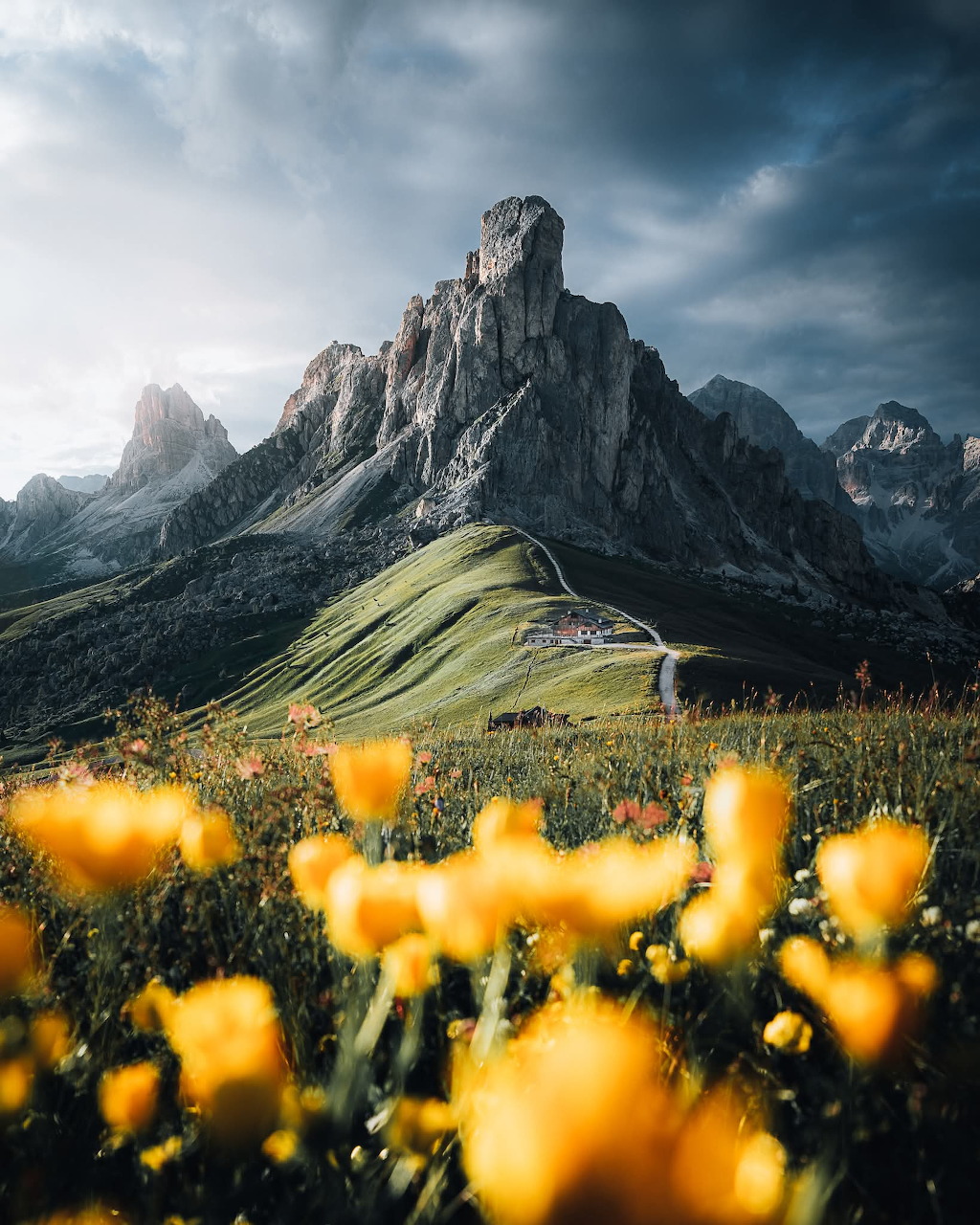 Rocky Dolomites peaks above a green meadow with blurred yellow wildflowers in the foreground