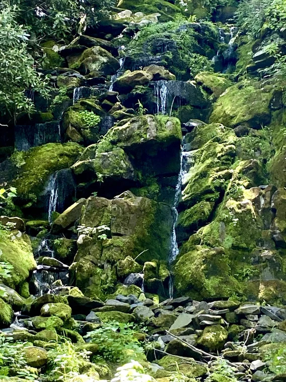 Mossy Waterfall Rocks