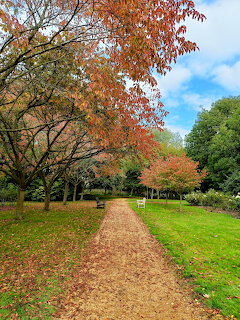 Gravel path through an autumn garden with red-leafed trees, green lawns, and fallen leaves