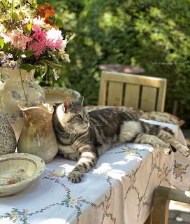 Tabby cat lying on a tablecloth-covered garden table with vases and flowers in sunlight