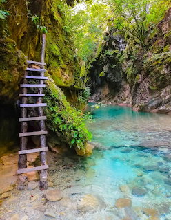 Wooden ladder beside a turquoise stream in a narrow mossy rock canyon