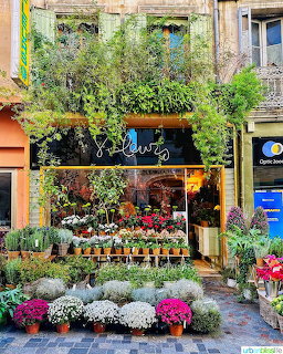 Arles Flower Shop