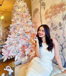 Manushi Chhillar Christmas Portrait