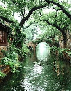 Calm green canal flowing under a stone arch bridge surrounded by lush trees and old buildings