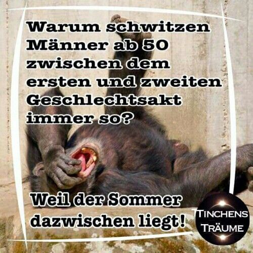 Close-up gorilla photo with bold German meme text overlay