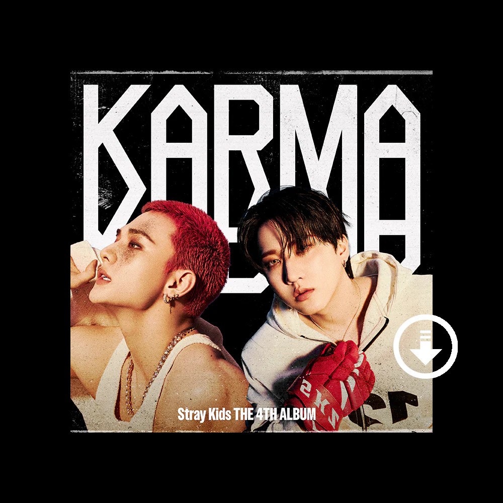 Karma Album Cover Duo