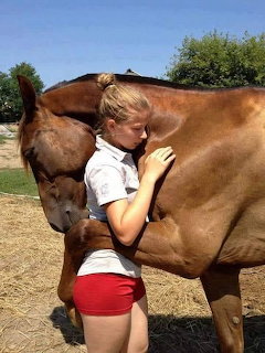 Young girl hugging a brown horse outdoors in sunlight
