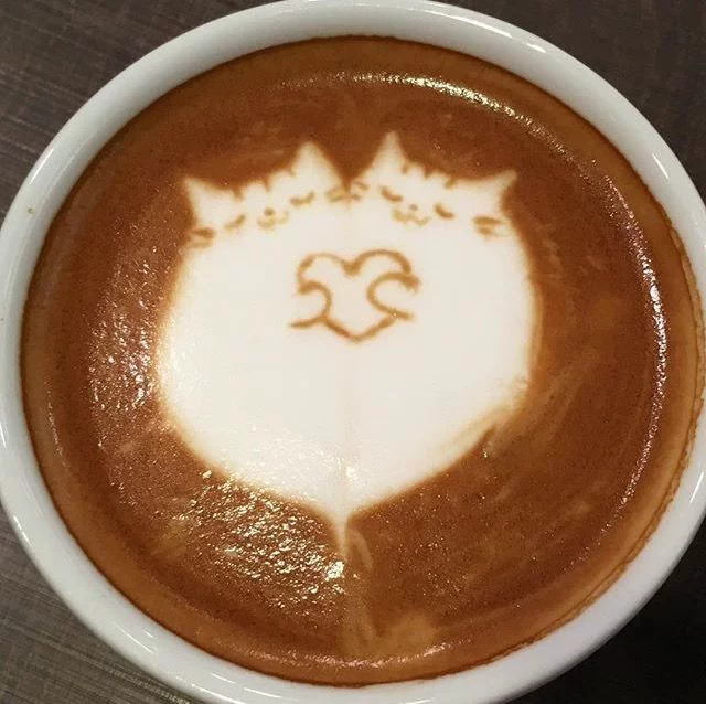 Latte art showing a cat face design in white foam on brown coffee