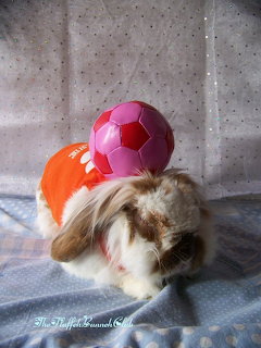 Angel Charlie Bunny
