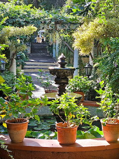 Stone steps through lush garden with potted plants and archways