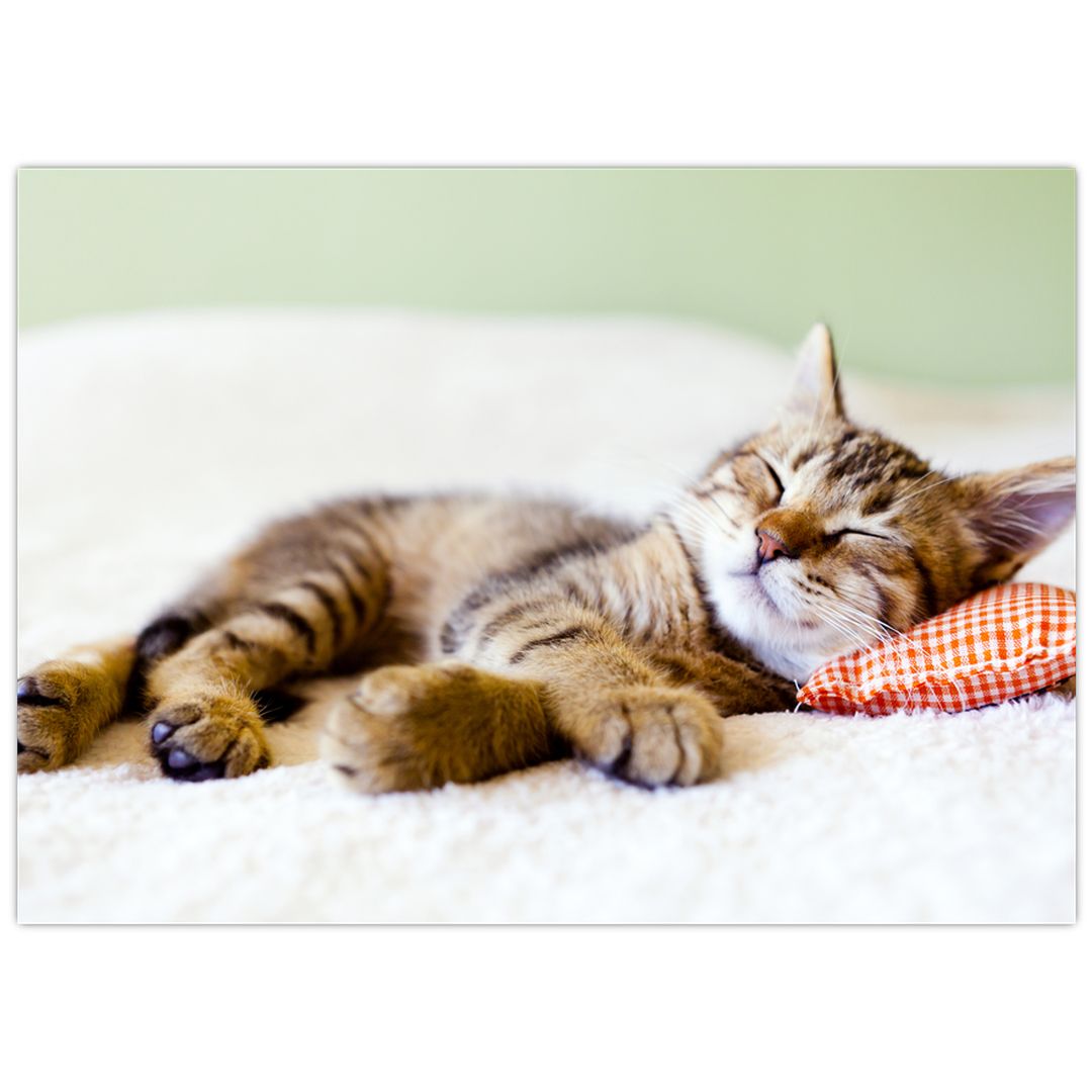 Tabby cat lying on back with paws up, relaxing on white bedding with red checkered pillow