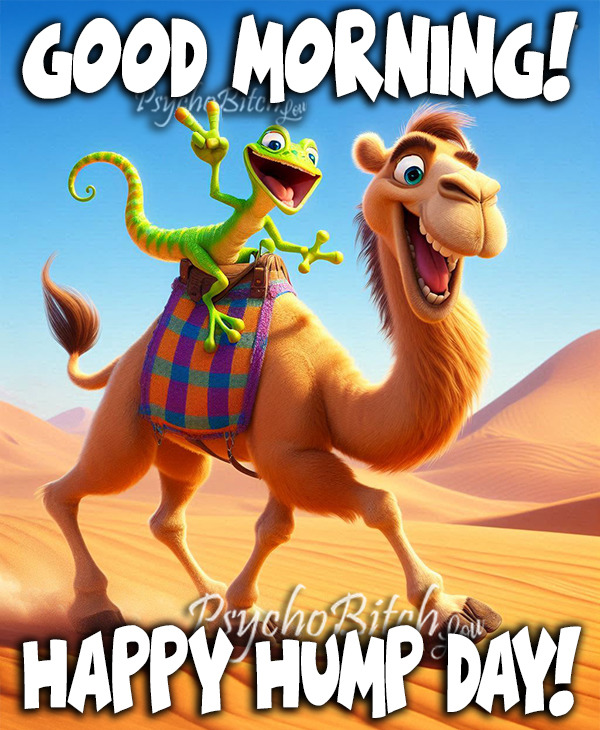 Cartoon camel smiling with a rainbow chameleon on its back in a desert scene
