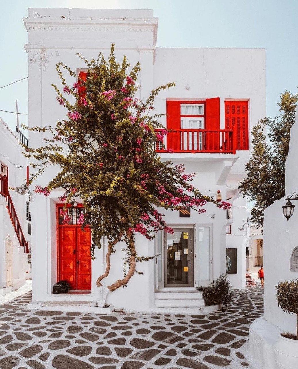 White Greek house with red door and balcony, flowering tree, cobblestone pavement