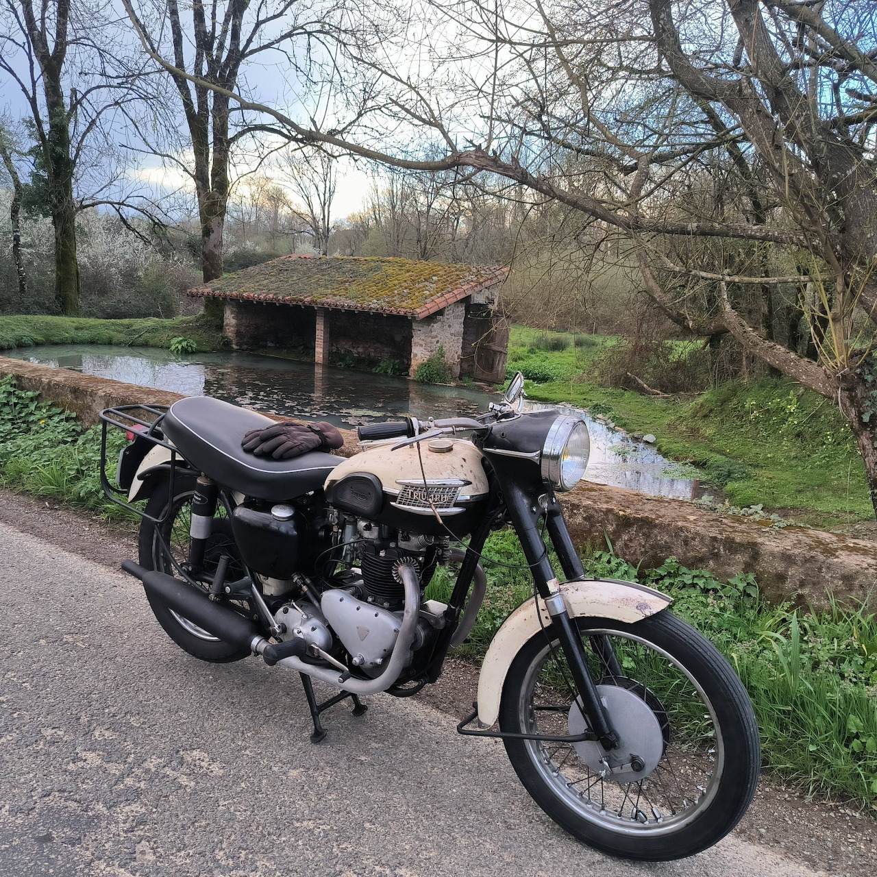 1959 Triumph T110 Motorcycle