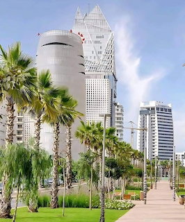 Palm-lined walkway with modern skyscrapers and landscaped garden under a blue sky