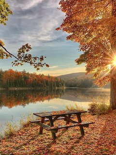 Wooden picnic bench beside a calm lake surrounded by autumn foliage with golden sunlight filtering through trees
