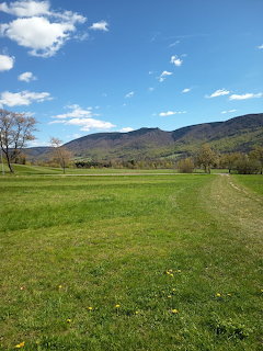 Jizerské Mountains Green Meadow