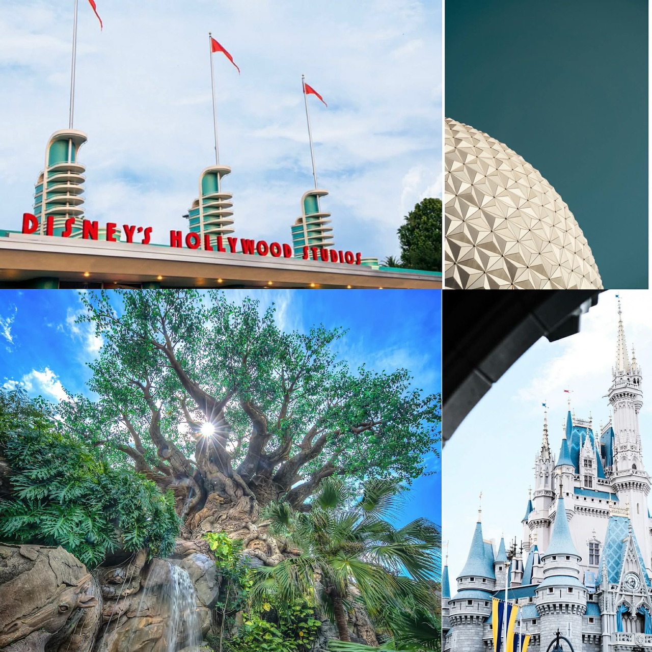 Disney World Landmarks