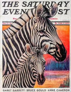 1932 Saturday Evening Post Zebras