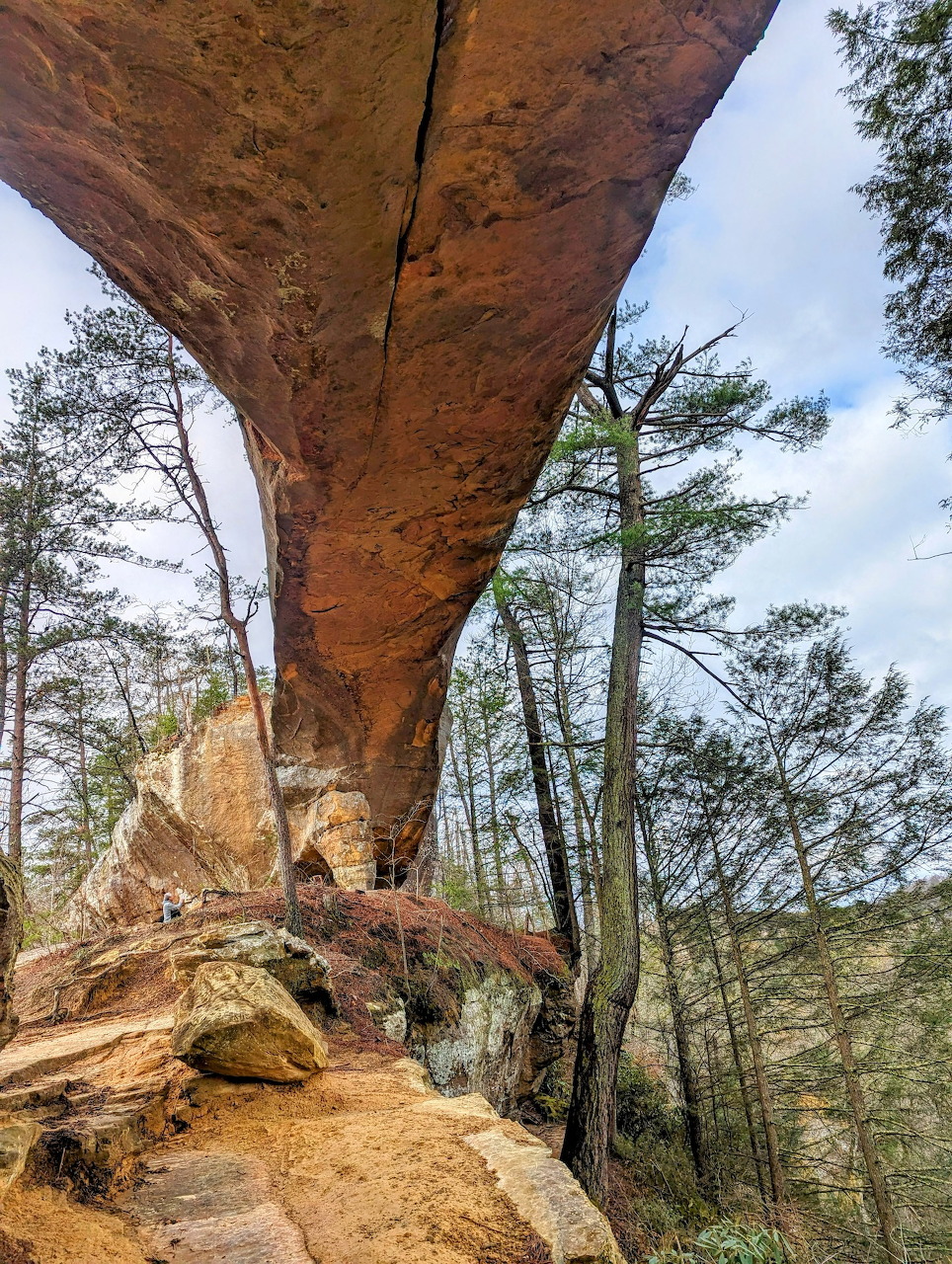 Sky Bridge Red River Gorge