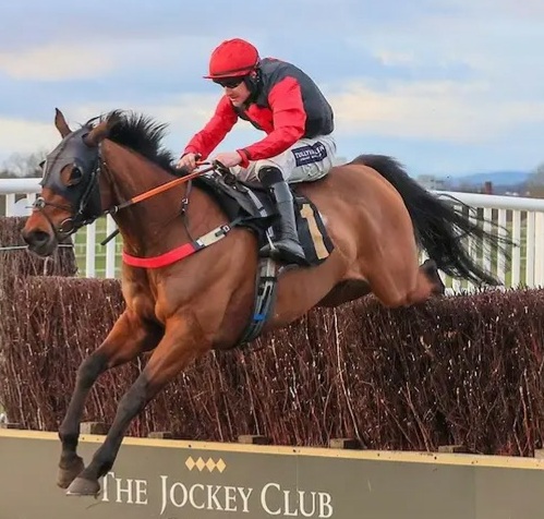 Jockey in red uniform on brown horse jumping over brush fence on racetrack