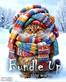 Cat wearing a colorful striped knit hat and scarf in a snowy winter setting