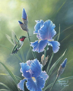 Hummingbird approaching blue iris flowers in a garden painting