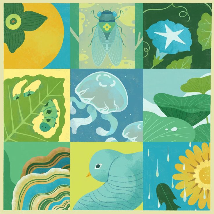 Colorful nature collage with a bird, butterfly, jellyfish, flowers, leaves, and abstract shapes