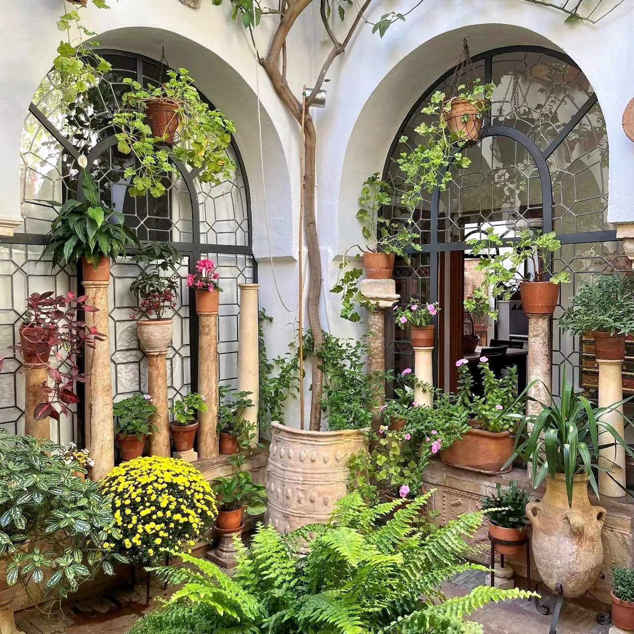 Spanish courtyard with white arches, terracotta planters, and abundant greenery in traditional Andalusian patio style
