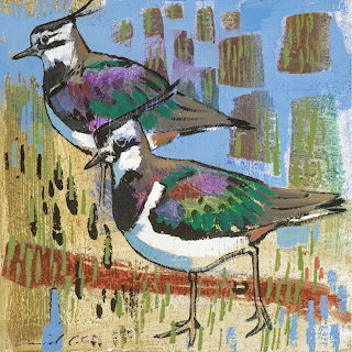 Lapwings