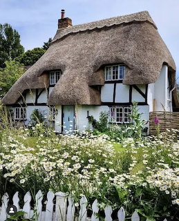 Thatched roof cottage with white timber framing behind garden of white flowers and picket fence