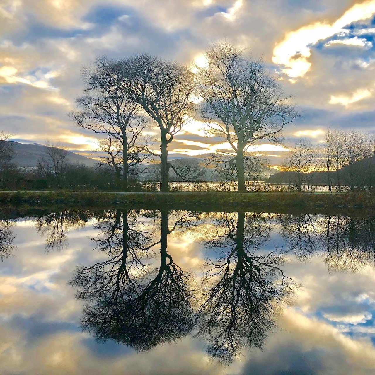 Leafless trees reflected in a calm lake at sunset under cloudy skies
