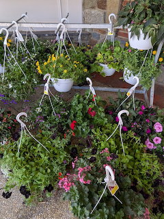 White swan planter pots with colorful flowers hanging on outdoor metal ladder stand