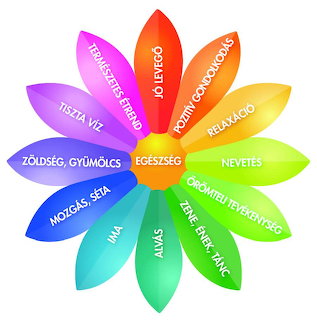 Colorful flower diagram with Hungarian text on rainbow petals against a white background