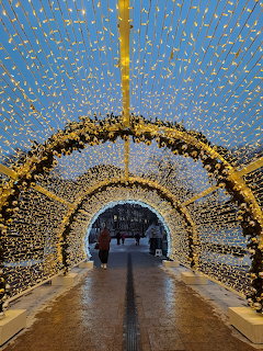 Christmas Light Tunnel Display
